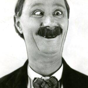 تصویر هنرمند Ben Turpin