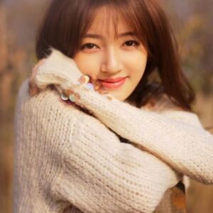 تصویر هنرمند He Ruixian