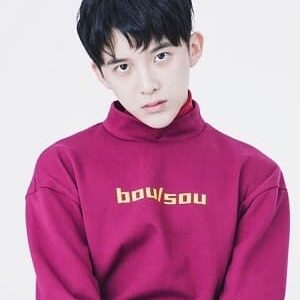 تصویر هنرمند Sun Zeyuan