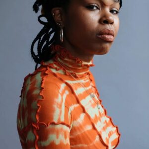 تصویر هنرمند Diamond Stingily