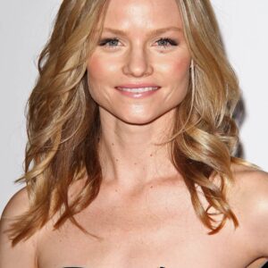 تصویر هنرمند Lindsay Pulsipher