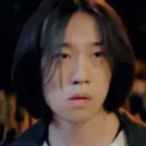 تصویر هنرمند Wang Xiaoyu