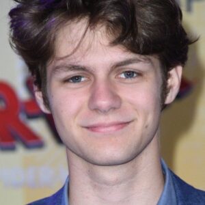 تصویر هنرمند Ty Simpkins
