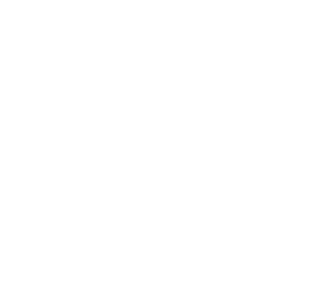 لوگوی رسمی فیلم The Tender Bar (2021)