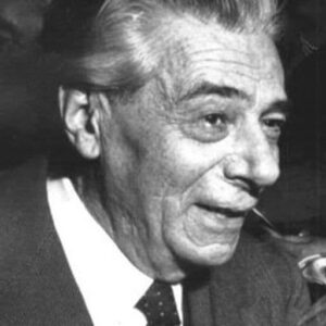 تصویر هنرمند Aldo Silvani