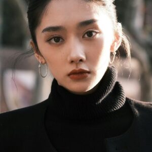 تصویر هنرمند Wang Yinglu