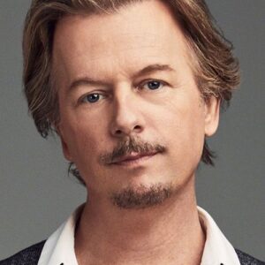 تصویر هنرمند David Spade
