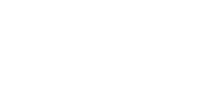 لوگوی رسمی فیلم Silver Linings Playbook (2012)