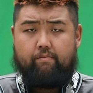 تصویر هنرمند Wang Gang