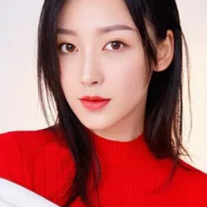 تصویر هنرمند Hu Xue'er