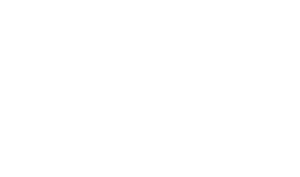 لوگوی رسمی فیلم The Novice (2021)