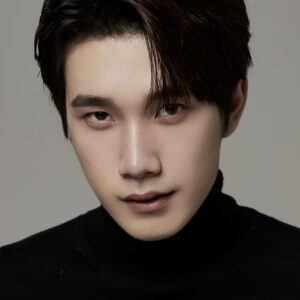 تصویر هنرمند Song Yixiong