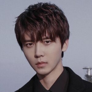 تصویر هنرمند Lin Lu