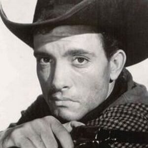 تصویر هنرمند Robert "Buzz" Henry