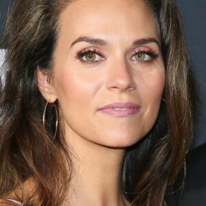 تصویر هنرمند Hilarie Burton