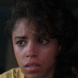 تصویر هنرمند Diane Almeida