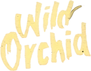 لوگوی رسمی فیلم Wild Orchid (1989)