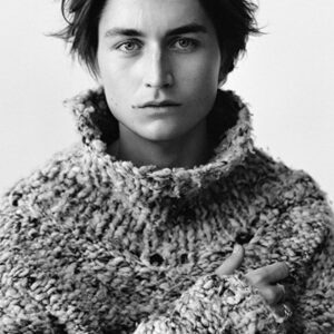 تصویر هنرمند Gustav Lindh