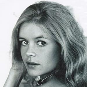 تصویر هنرمند Anne Lonnberg