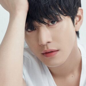 تصویر هنرمند Ahn Hyo-seop