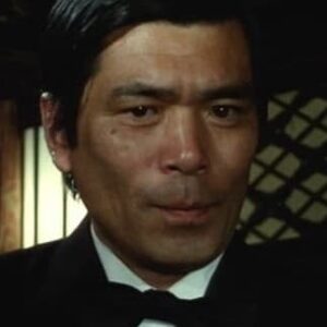 تصویر هنرمند Eimei Esumi