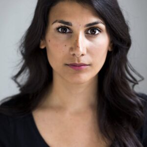 تصویر هنرمند Shirin Golchin