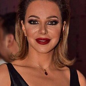 تصویر هنرمند Suzan Najm Aldeen