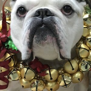 تصویر هنرمند Nellie