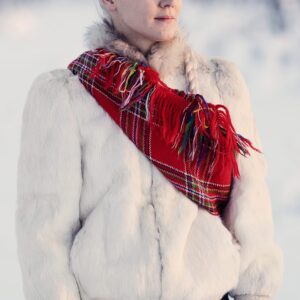 تصویر هنرمند Ann-Helen Laestadius