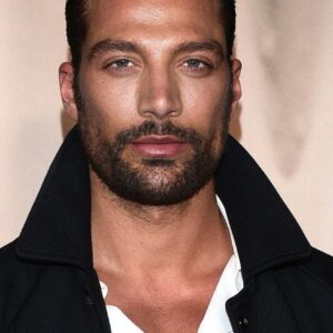 تصویر هنرمند Simone Susinna