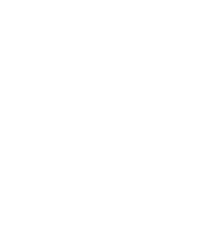 لوگوی رسمی فیلم The Fall (2008)