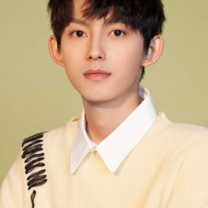 تصویر هنرمند Liu Xuwei