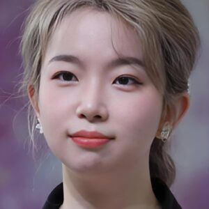 تصویر هنرمند Wenxiao He