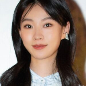 تصویر هنرمند Zheng Yingchen