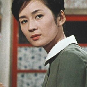 تصویر هنرمند Yōko Tsukasa