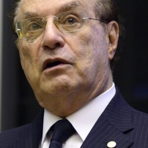 تصویر هنرمند Paulo Maluf