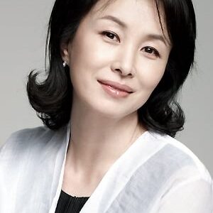 تصویر هنرمند Kim Mi-sook