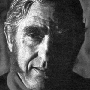 تصویر هنرمند Romano Milani