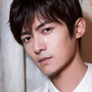 تصویر هنرمند Tong Mengshi