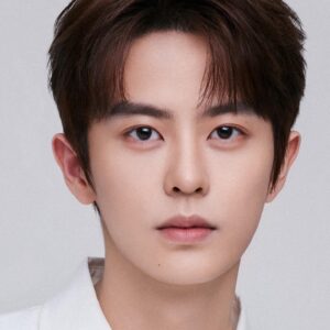 تصویر هنرمند Liu Runming