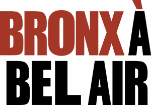 لوگوی رسمی فیلم Bringing Down the House (2003)