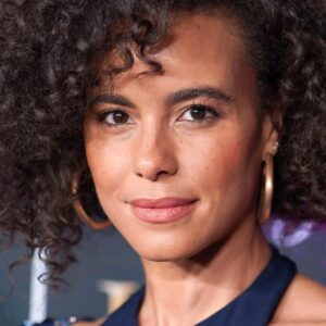تصویر هنرمند Parisa Fitz-Henley