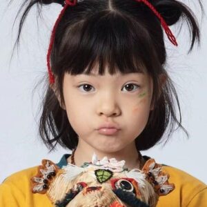 تصویر هنرمند Yang Enyou