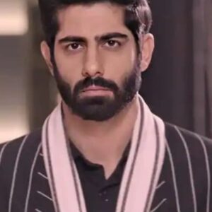 تصویر هنرمند Rrahul Sudhir