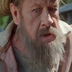 تصویر هنرمند David Wiley