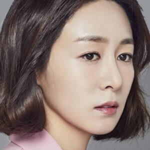 تصویر هنرمند Lee Jin-hee