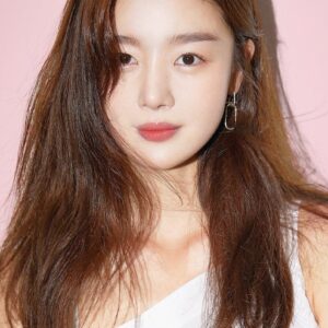 تصویر هنرمند Han Seon-hwa