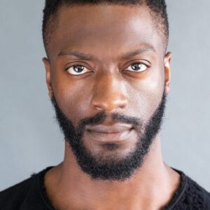 تصویر هنرمند Aldis Hodge