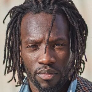 تصویر هنرمند Ibrahima Ba