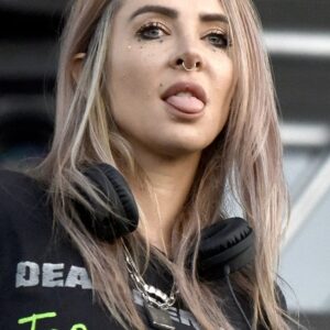 تصویر هنرمند Alison Wonderland